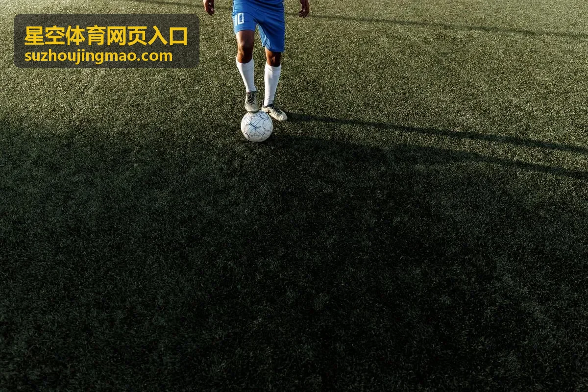 星空体育网页入口乒乓球女单八强回放封面