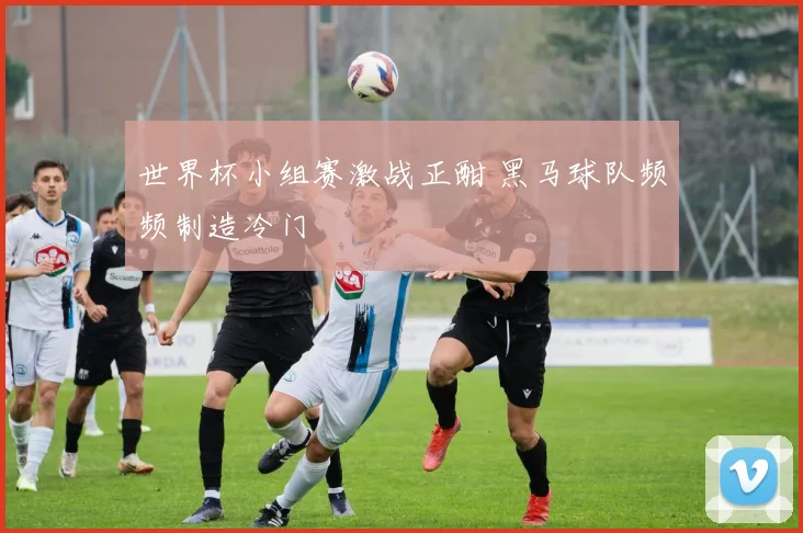 世界杯小组赛激战正酣 黑马球队频频制造冷门