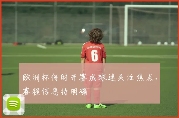 欧洲杯何时开赛成球迷关注焦点，赛程信息待明确