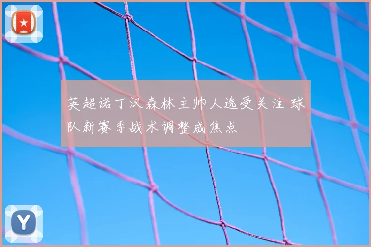 英超诺丁汉森林主帅人选受关注 球队新赛季战术调整成焦点